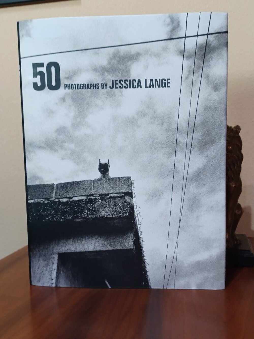 50 Photographs Jessica Lange and Patti Smith First Edition, 1st printing HC/DJ